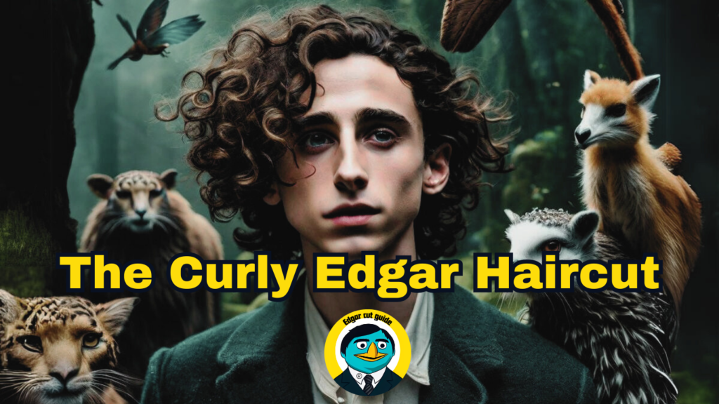 Curly Edgar Haircut: Embrace the Timothée Chalamet-Inspired Look! 1 Achieving the Curly Edgar Haircut :Timothee Chalamet hairstyle-edgarcutguide.com